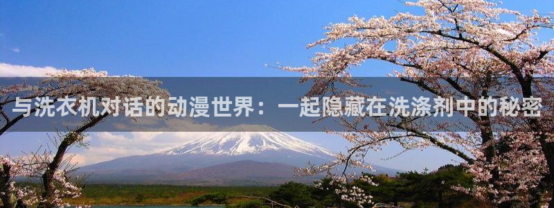 91动漫白丝：与洗衣机对话的动漫世界：一起隐藏在洗涤剂中的秘密